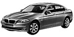 BMW F10 P1819 Fault Code